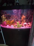 Aquarium met spullen cm  breed  123     cm hoog 142, Ophalen of Verzenden, Zo goed als nieuw, Leeg aquarium