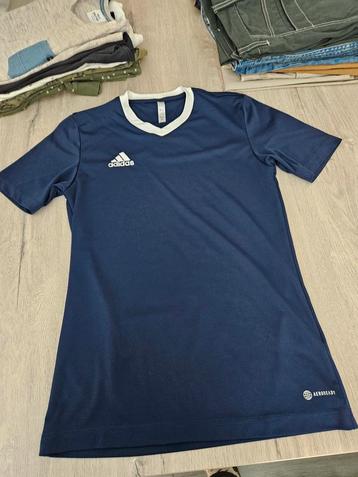 Adidas shirt - Maat S/P beschikbaar voor biedingen
