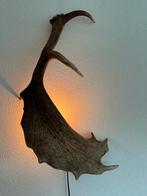 Geweien geweienlamp jacht Veluwe geweien edelhert wandlamp., Ophalen of Verzenden, Nieuw