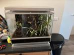 Biopot paludarium met alles in een, Dieren en Toebehoren, Reptielen en Amfibieën | Toebehoren, Ophalen, Zo goed als nieuw