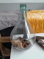 Glazen Fles Terrarium, Ophalen of Verzenden, Zo goed als nieuw