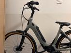 Sparta C-Grid Fit 2025 | NIEUW, Ophalen, Sparta, Nieuw, 51 tot 55 cm