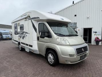 McLouis Yearling Queensbed hefbed 2010 beschikbaar voor biedingen