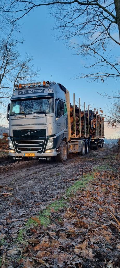 Rondhout transport / rongen transport / stamhout, Vacatures, Vacatures | Logistiek, Inkoop en Transport, 33 - 40 uur