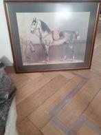 Lippizaner  inclusief lijst, Ophalen of Verzenden, 1980 tot heden, Zo goed als nieuw