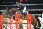 Equiline jasje, Dieren en Toebehoren, Paardrijkleding, Ophalen of Verzenden, Zo goed als nieuw, Springen, Bovenkleding
