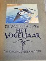 Vogeljaar, Ophalen of Verzenden, Vogels, Zo goed als nieuw