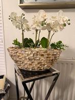 Orchideeënstuk met Standaard, Ophalen of Verzenden, Zo goed als nieuw, Binnen