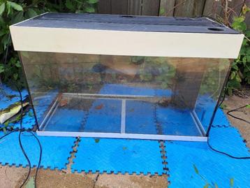 witte aquarium 80x35x50 (LxDxH) beschikbaar voor biedingen