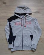 Max Verstappen vest maat 176/XS, Ophalen of Verzenden, Zo goed als nieuw, Jongen, Trui of Vest