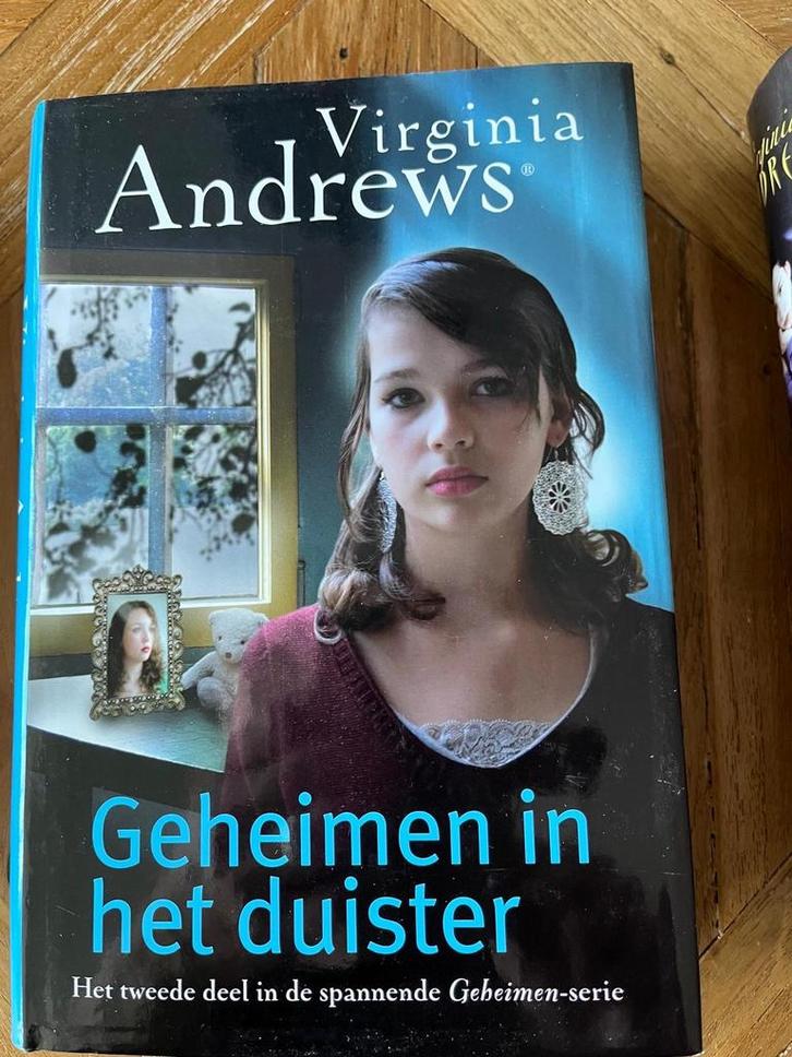 Geheimen in het duister - Virginia Andrews, Boeken, Romans, Zo goed als nieuw, Nederland, Ophalen of Verzenden