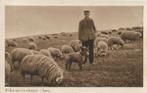 Elspeet, Willem met zijn schaapjes, Gelopen, Gelderland, 1920 tot 1940, Verzenden