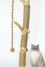 Natuurlijke houten krabpaal | Massief hout & dik sisal, Dieren en Toebehoren, Katten-accessoires, Ophalen, Nieuw
