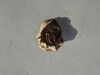 Speldje broche heks, Verzamelen, Speldjes, Pins en Buttons, Verzenden, Gebruikt, Overige onderwerpen