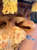 3D Reptile Terrarium 150 x 60 x 60 and extra stuff, Dieren en Toebehoren, Reptielen en Amfibieën | Toebehoren, Ophalen, Zo goed als nieuw