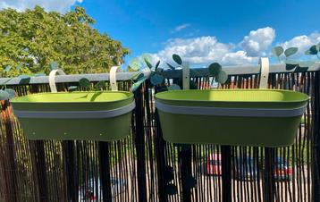 2 HEMA Balkon Bloembakken samen voor 6€ beschikbaar voor biedingen