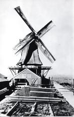 (ZS172) Ansichtkaart Tanger nr.172 molen Zaandam Nachtegaal, Noord-Holland, 1960 tot 1980, Ongelopen, Verzenden