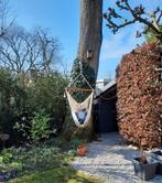 Hangstoel, Ophalen of Verzenden, Bloeit niet, Overige soorten, Minder dan 100 cm