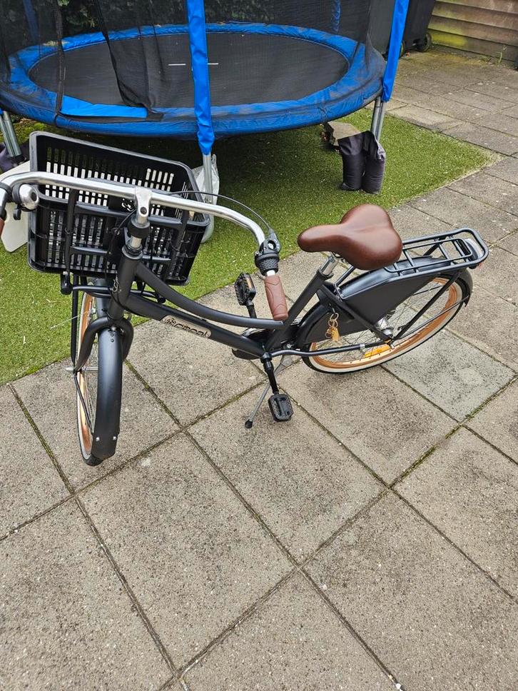 Popal Daily Dutch Basic 24 Inch, 3 versnellingen & Fietsmand, Fietsen en Brommers, Fietsen | Dames | Damesfietsen, Gebruikt, Overige merken
