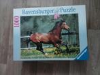 Ravensburger Puzzel - Paard - 1000 stukjes, Ophalen of Verzenden, 500 t/m 1500 stukjes, Zo goed als nieuw, Legpuzzel