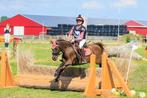 Kinder sport pony, b spring pony., Dieren en Toebehoren, Pony's, Gechipt, Ruin, L, 7 tot 10 jaar