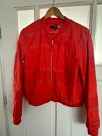 Dept Jasje -, Maat 38/40 (M), Verzenden, Zo goed als nieuw, Jasje