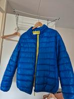 Nieuwe Damesjas, Blauw, Maat 42/44 (L), Nieuw, Ophalen of Verzenden