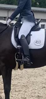 Pertie rijlaarzen, Dieren en Toebehoren, Paardrijkleding, Ophalen of Verzenden, Gebruikt, Dressuur, Schoeisel
