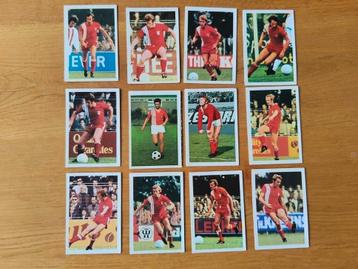 Fc Twente 1970 Vanderhout voetbalplaatjes, oa Piet Schrijver beschikbaar voor biedingen
