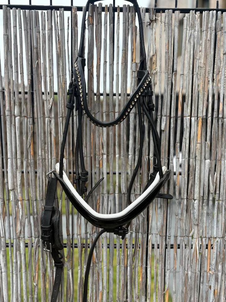 Dyon hoofdstel rondgenaaid met wit/lak neusriem, Dieren en Toebehoren, Paarden en Pony's | Hoofdstellen en Tuigage, Dressuur, Ophalen of Verzenden