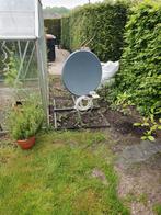 schotel antenne met tegelvoet, Audio, Tv en Foto, Schotelantennes, Ophalen of Verzenden, Zo goed als nieuw