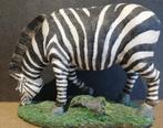 Zebrapaard, grazend. Polyresin. 26/20 cm., Verzamelen, Dier, Zo goed als nieuw, Ophalen