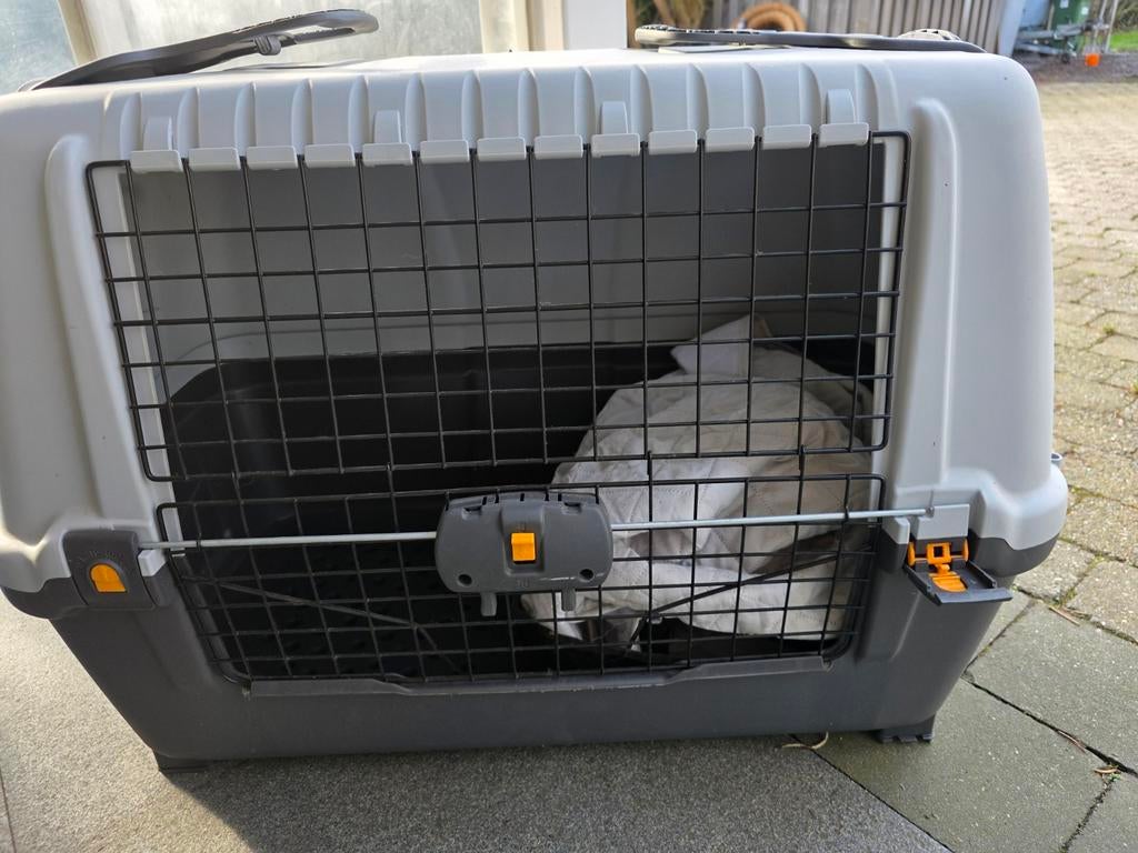 Flightbox/ reisbench voor de hond, Ophalen