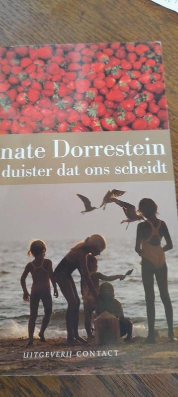 Renate Dorrestein - Het duister dat ons scheidt beschikbaar voor biedingen