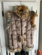 Daite bodywarmer xs / 34, Kleding | Dames, Ophalen of Verzenden, Zo goed als nieuw, Maat 34 (XS) of kleiner