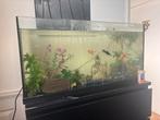 Gratis Aquarium met veel extra’s, Ophalen, Gebruikt, Overige typen
