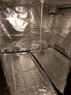 Kweek tent 240x240, Tuin en Terras, Gebruikt, Folie, Kweekkas, Ophalen