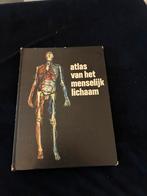 Atlas van het menselijk lichaam - J.P. Schadé, Boeken, Encyclopedieën, Ophalen of Verzenden, Gelezen, Medisch, Los deel