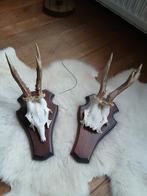 Ree geweitjes set van 2, Verzamelen, Dierenverzamelingen, Ophalen of Verzenden, Zo goed als nieuw, Hert