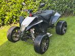 Egl madmax 250, heeft aandacht nodig, Motoren, Quads en Trikes, 250 cc, 11 kW of minder, 1 cilinder
