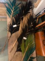 6 Grote Decoratieve Pluimen, Ophalen, Gebruikt