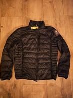 Parajumpers tussenjas maat M, Ophalen of Verzenden, Gedragen, Blauw