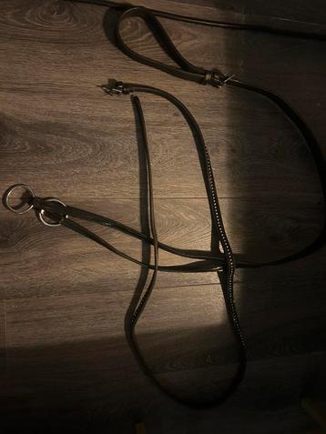 Mooie epplejeck martingaal beschikbaar voor biedingen