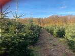nordmann kerstbomen voor wederverkopers, Ophalen, Nieuw