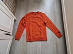 We sweater maat 158 164, Jongen, Trui of Vest, Ophalen of Verzenden, WE Fashion