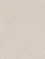 SPC Wandpaneel Beton Beige licht 100% Waterdicht Kliksysteem, Ophalen of Verzenden, Nieuw