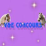V&E CONCOURS. HOBBYHORSE WEDSTRIJD GRONINGEN, Tickets en Kaartjes, Drie personen of meer