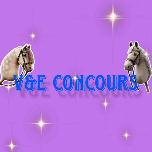 V&E CONCOURS. HOBBYHORSE WEDSTRIJD GRONINGEN, Tickets en Kaartjes, Overige Tickets en Kaartjes, Drie personen of meer