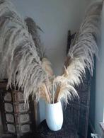 Pampas palm takken met vaas , set, Ophalen of Verzenden, Glas, Minder dan 50 cm