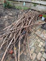 Gratis af te halen wilgen takken, Ophalen, Minder dan 25 mm, Zo goed als nieuw, Minder dan 200 cm